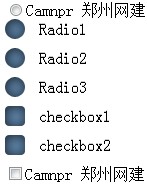 js+css美化radio和checkbox