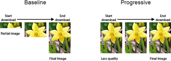 对比Baseline JPEG和Progressive JPEG
